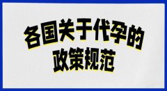 龙凤胎泰国试管成功案例：一对幸福的旅程
