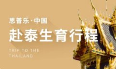 泰国试管婴儿：双胞胎成功率与选择指南