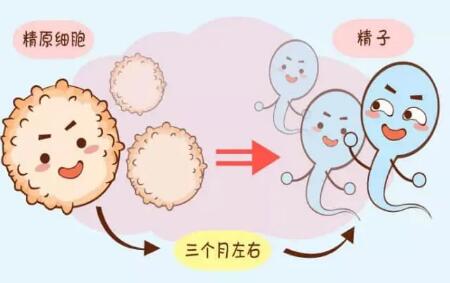 泰国可以试管婴儿吗，附具体价格明细！（三代试管婴儿的费用明细）