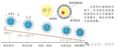 揭秘！试管婴儿成功率高的人，竟然有这7大特征！你中招了吗？