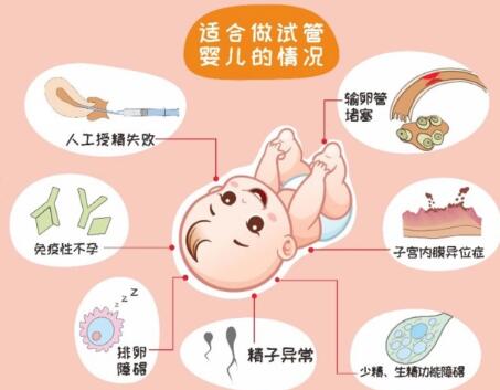 成都赴泰国试管婴儿费用（成都泰国试管机构）（第三代试管成功率多高）