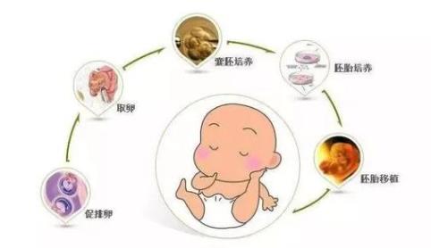 泰国第三代试管婴儿的费用，私人医院收费高真不可信（试管价格详细清单）