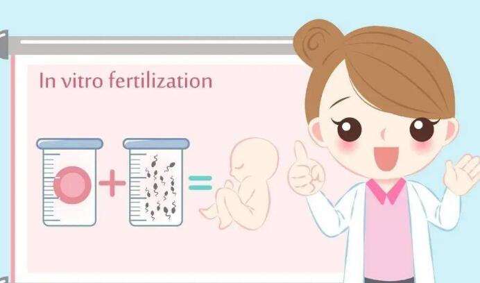 泰国第三代试管费用都花在了哪！九万够吗？（附试管价格表参考）