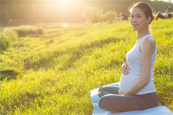 一文读懂！美国试管+DY助孕全攻略：流程、费用组成及核心优势