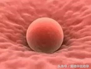 1539441550421423.jpg tu1.jpg