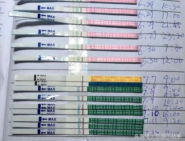 1539443686939816.jpg 4.jpg