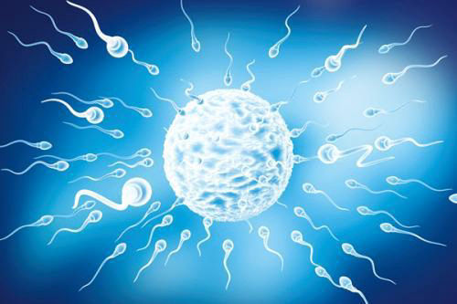 1547767710225370.png 12.png