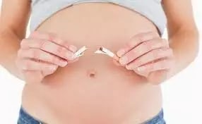 1555385367713286.jpg 640.webp.jpg