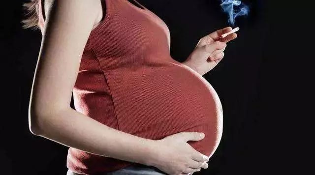 1555385414970045.jpg 640.webp (1).jpg