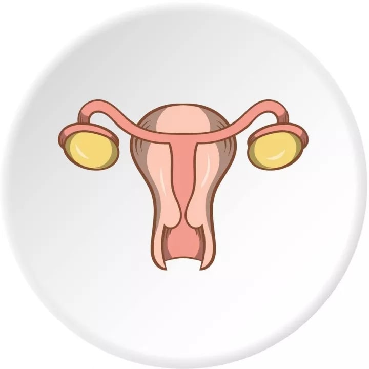 1558242589585500.jpg 640.webp.jpg