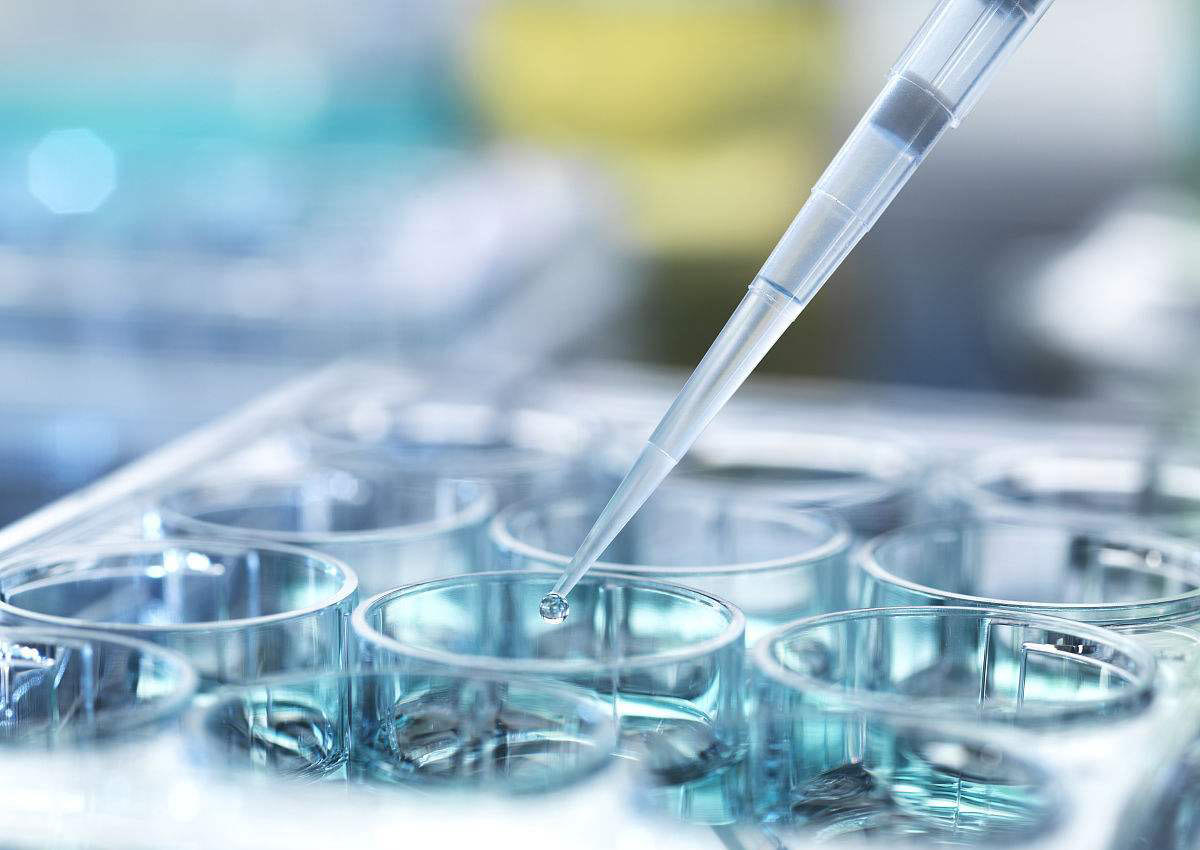 1559318210464859.jpg 11-1F915091Z3910.jpg