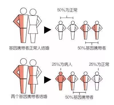 1563537692151610.jpg 微信图片_20190719195934.jpg