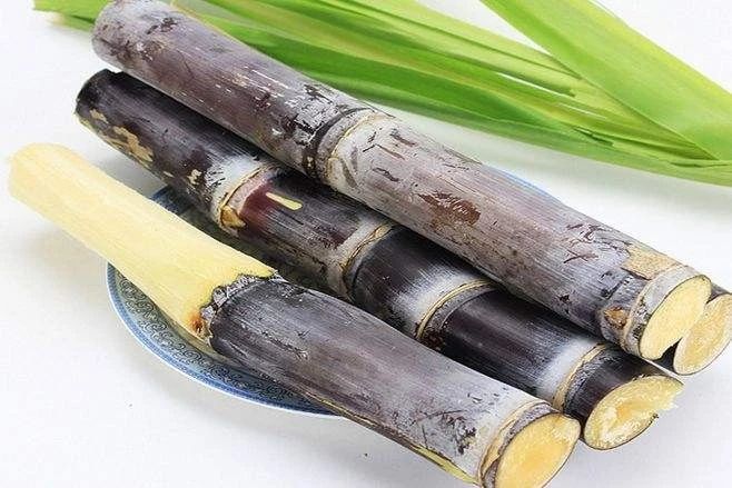 1576572208929329.jpg 微信图片_20191217162303.jpg