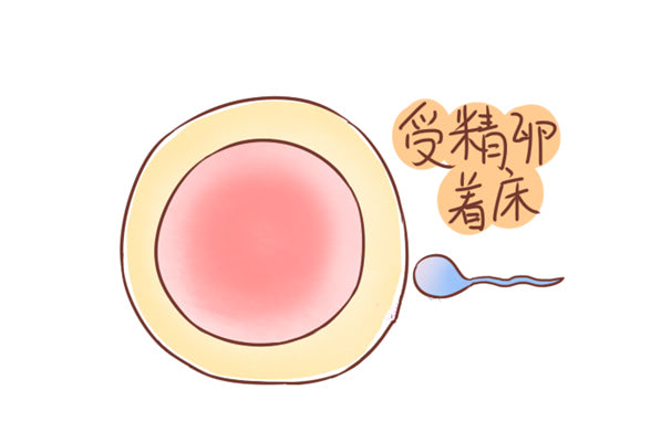 1577617373948166.jpg 微信图片_20191229185954.jpg