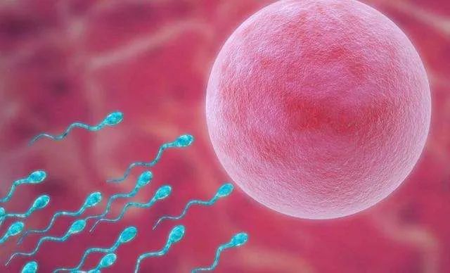 1592286163776181.jpg 1592286163776181.jpg