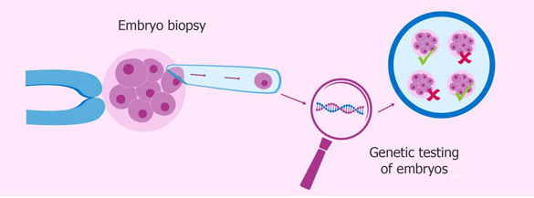 1592286183419284.png 图二.png