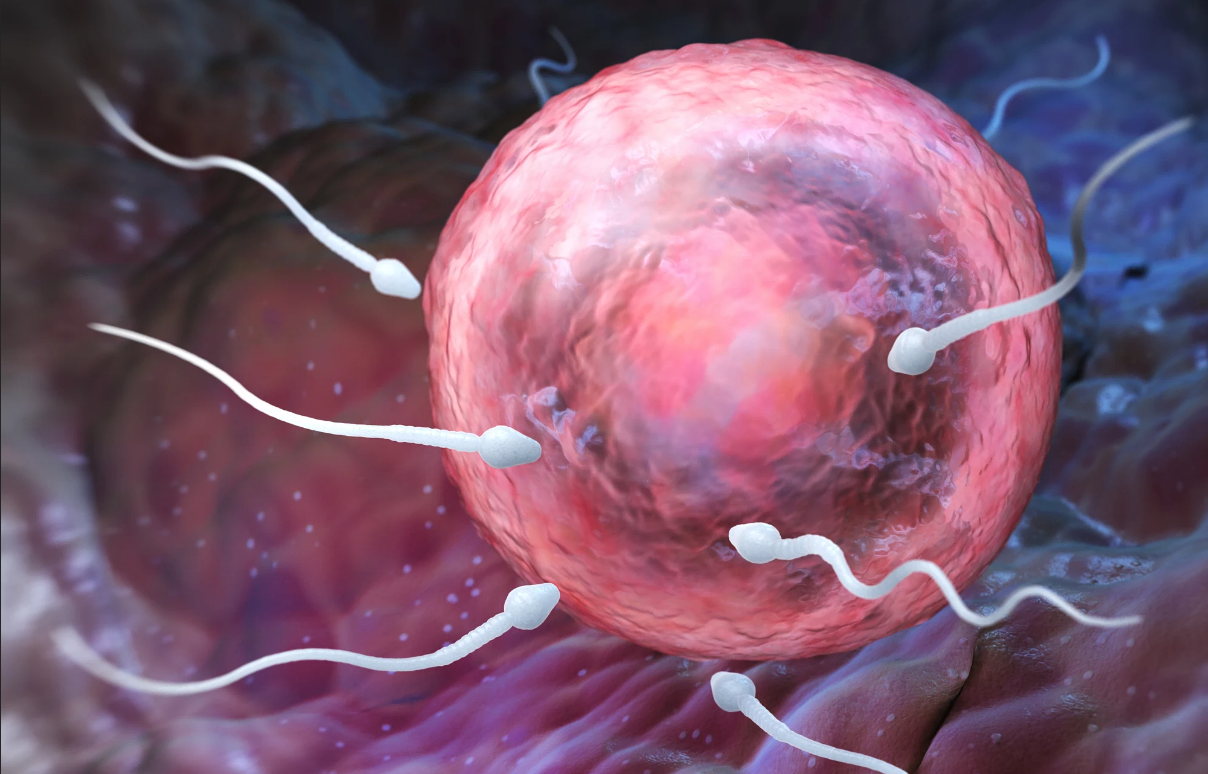 1597147101710649.png 1597147101710649.png