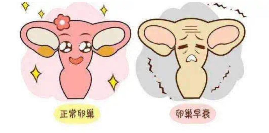 1597147137398293.png 1597147137398293.png