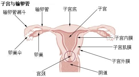 1597147153522599.jpg 4.jpg