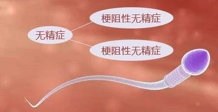 1598192382584794.jpg 2.jpg