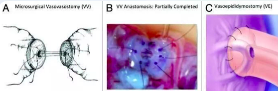 1598192393240271.png 3.png