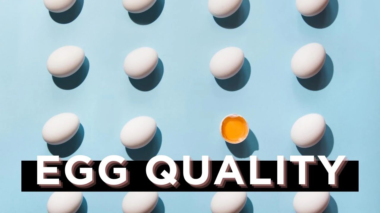 1598371178313017.jpg 1598371178313017.jpg