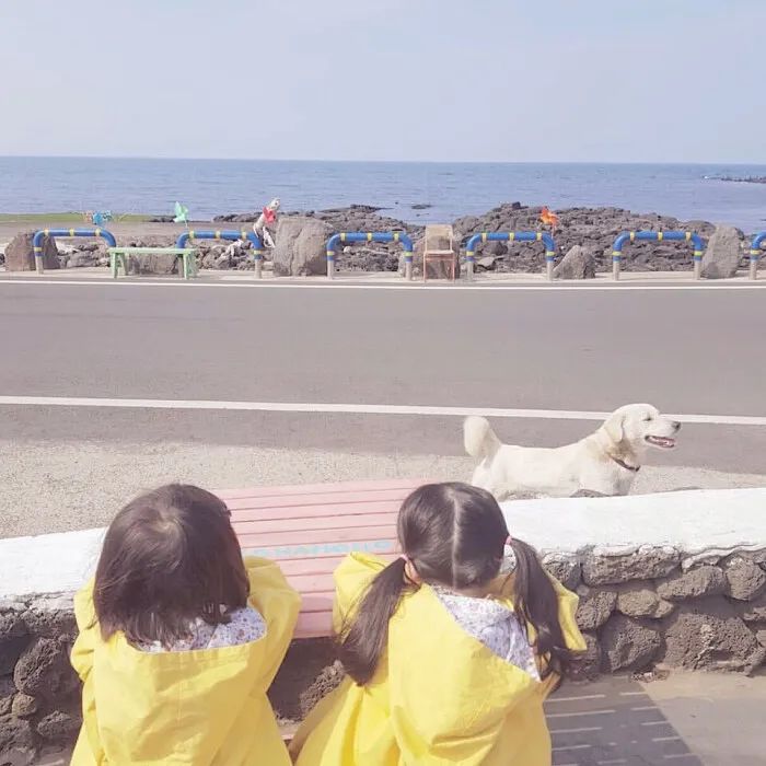 1598371746312726.jpg 1598371746312726.jpg