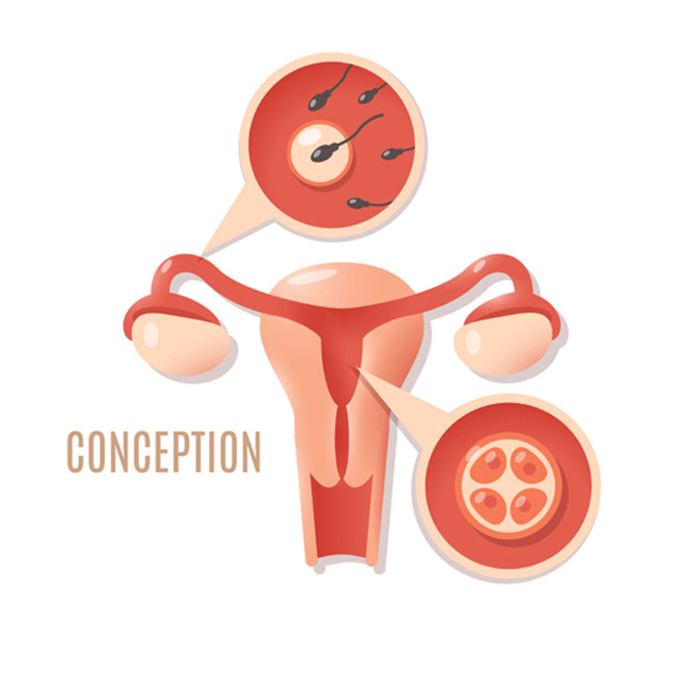 1600436550610794.jpg 1600436550610794.jpg