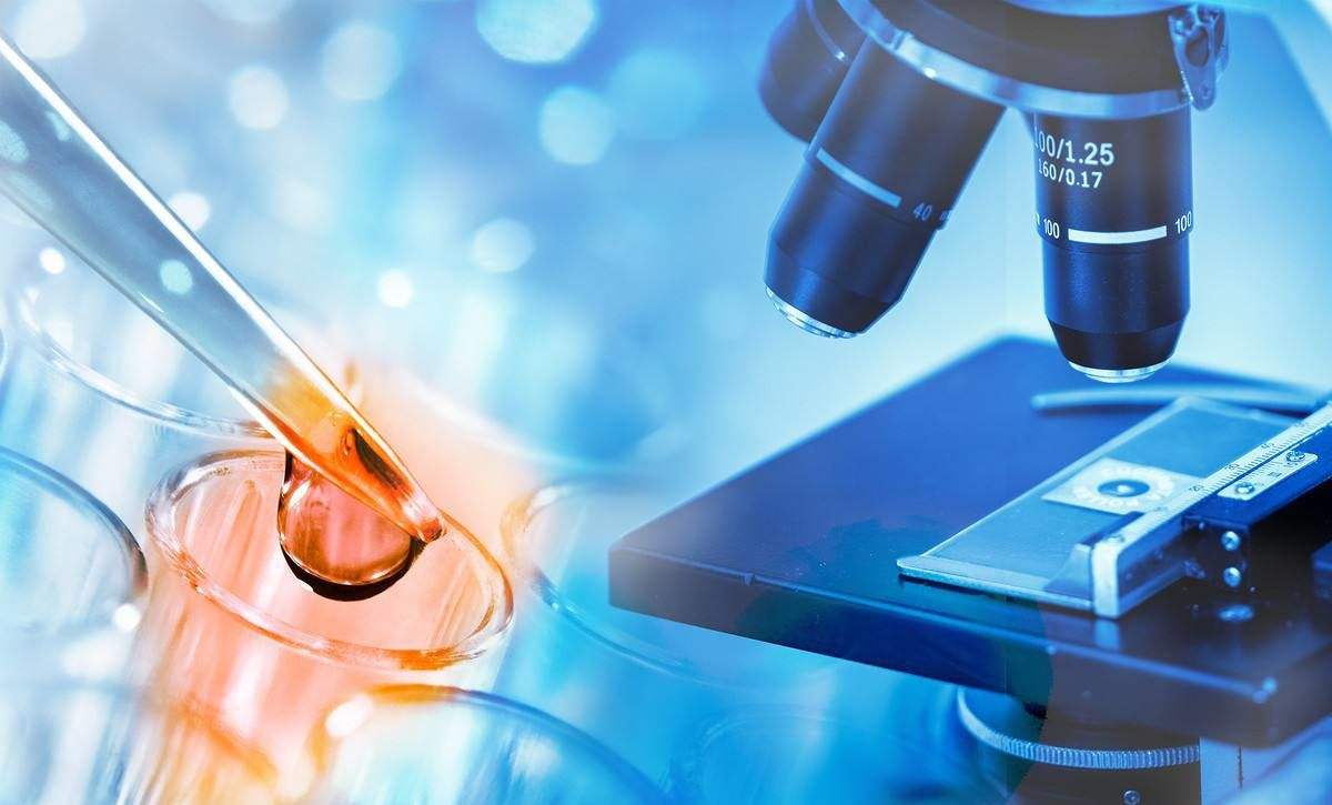 1603626281607405.jpg 1603626281607405.jpg