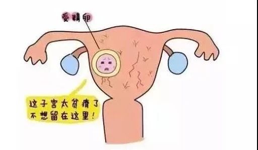 1603628710272483.jpg 2.jpg