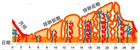 1603628749162354.jpg 5.jpg