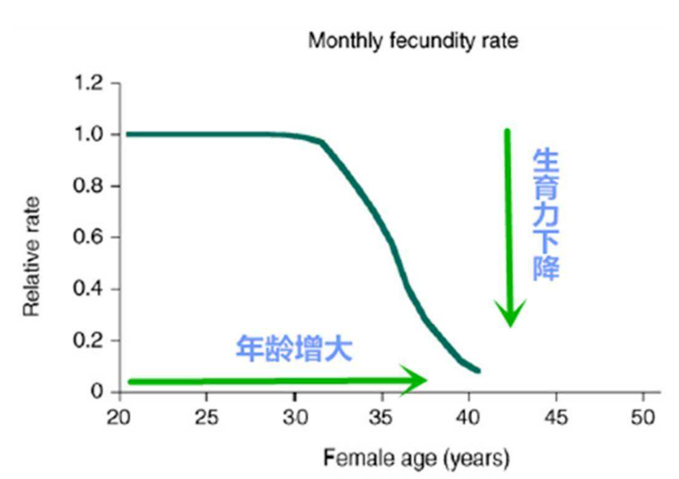 1605324673155140.png 1.png