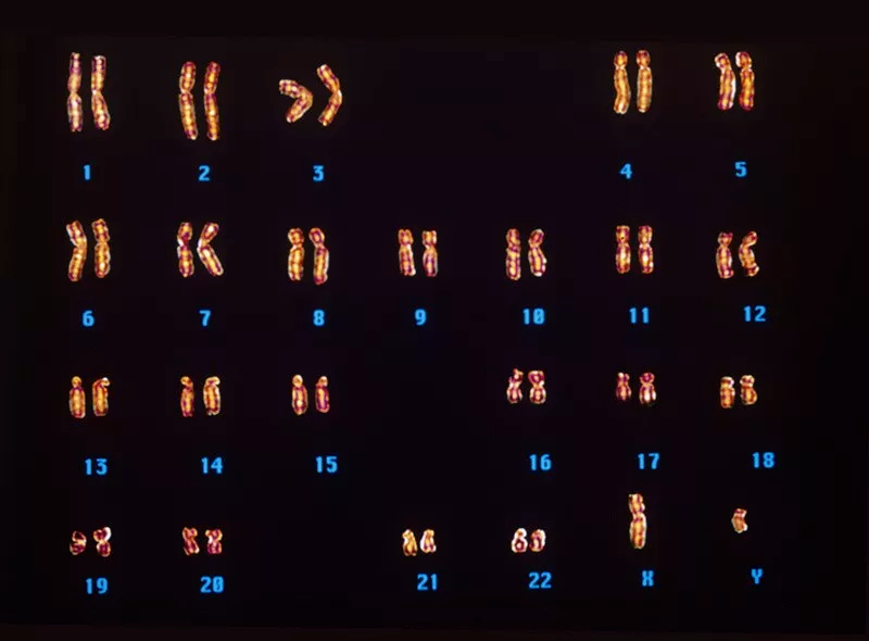 1605324710344943.png 3.png