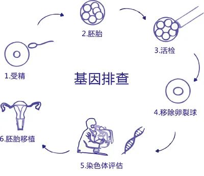 1605325492361923.jpg 5.jpg