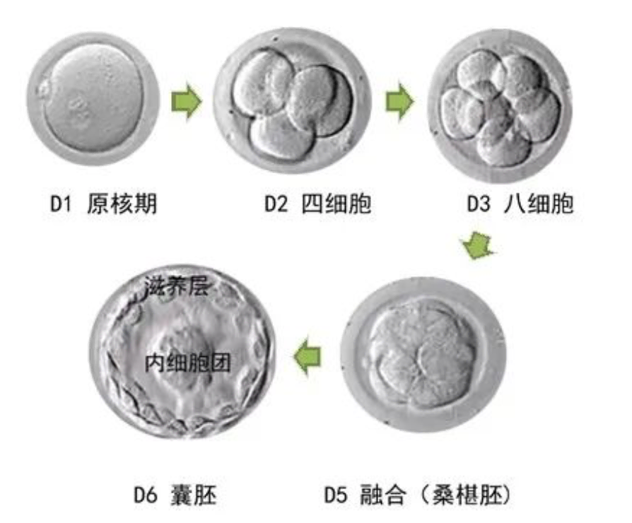 1606114962828341.png 图片1.png