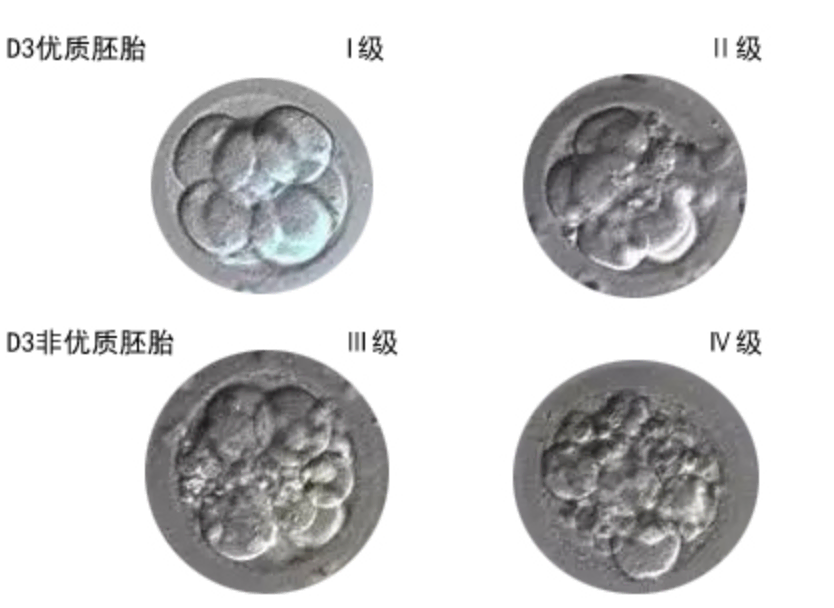 1606114971640282.png 图片2.png