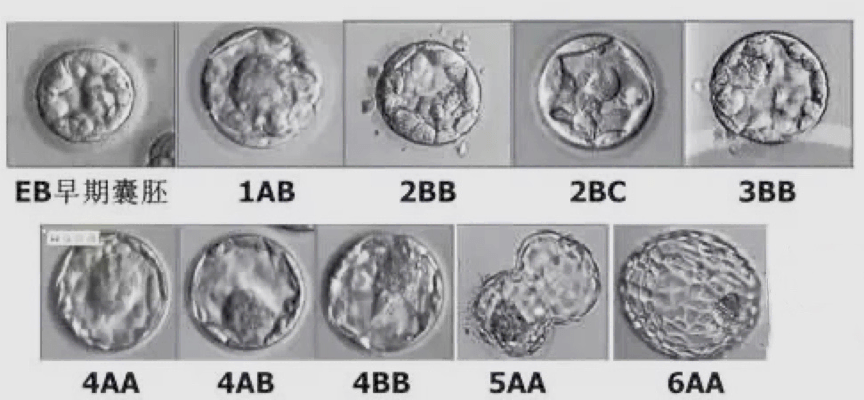 1606114992486866.png 图片 1.png