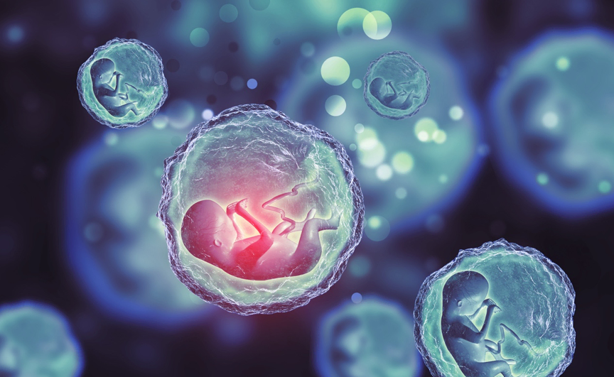 1606115118651375.png 图片 1.png