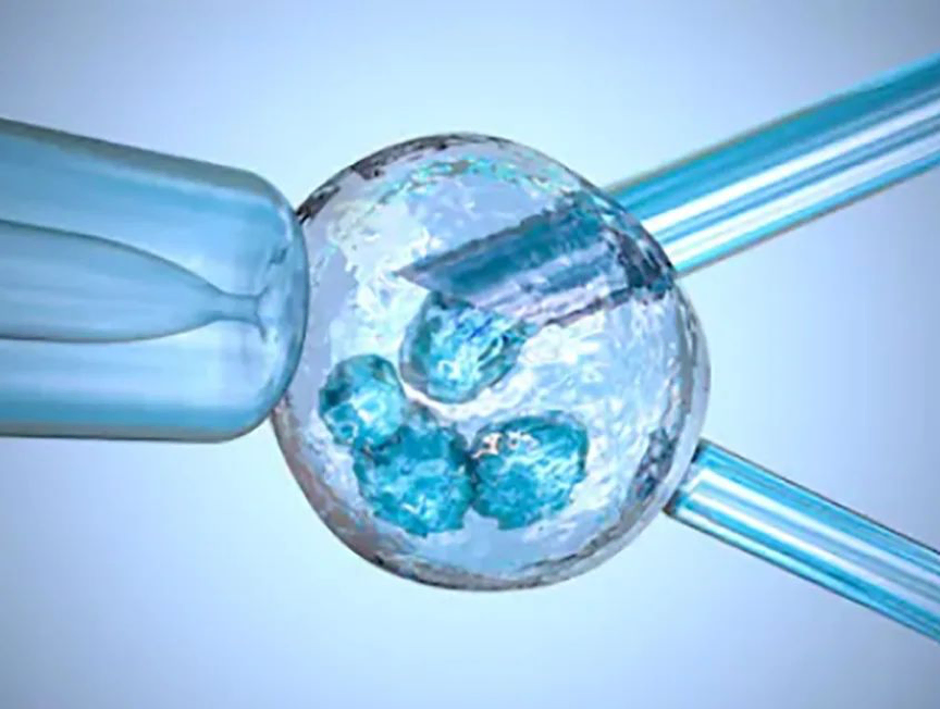 1607151769372291.png 图片 1.png