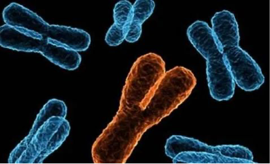 1610626285983405.png 图片 1.png