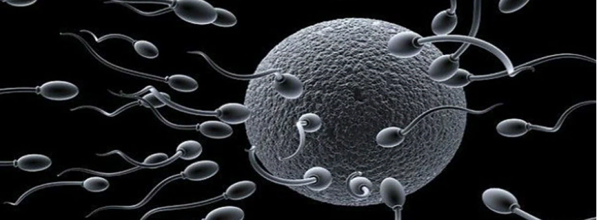 1610626296996544.png 图片 2.png