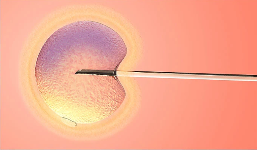 1614924313930715.png 图片 1.png