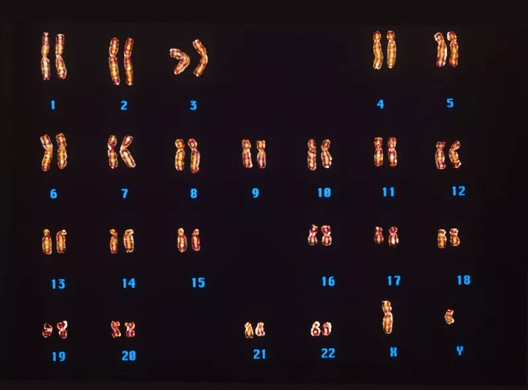 1619413258689009.png 4.png