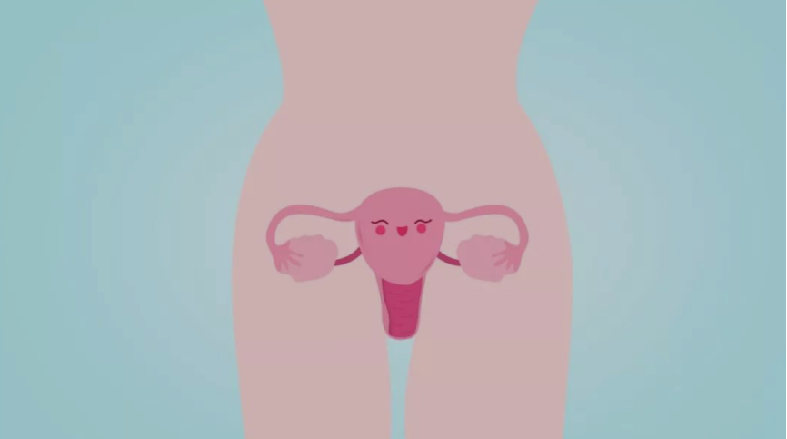 1626778418705754.png 图片 1.png