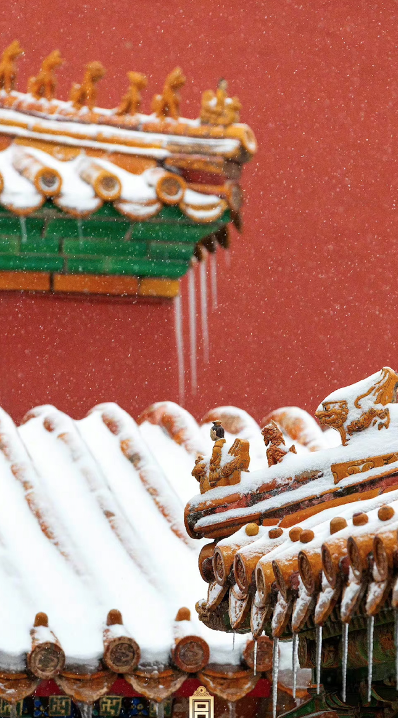 1636860447186421.png Screen Shot 2021-11-13 at 10.26.15 PM.png