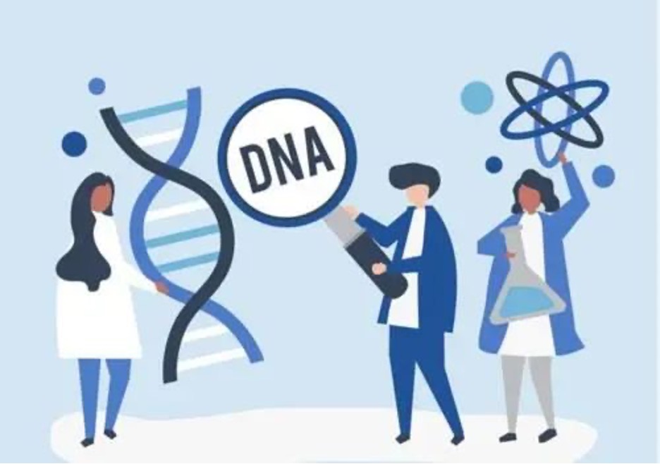 1641073458476202.jpg Picture1.jpg