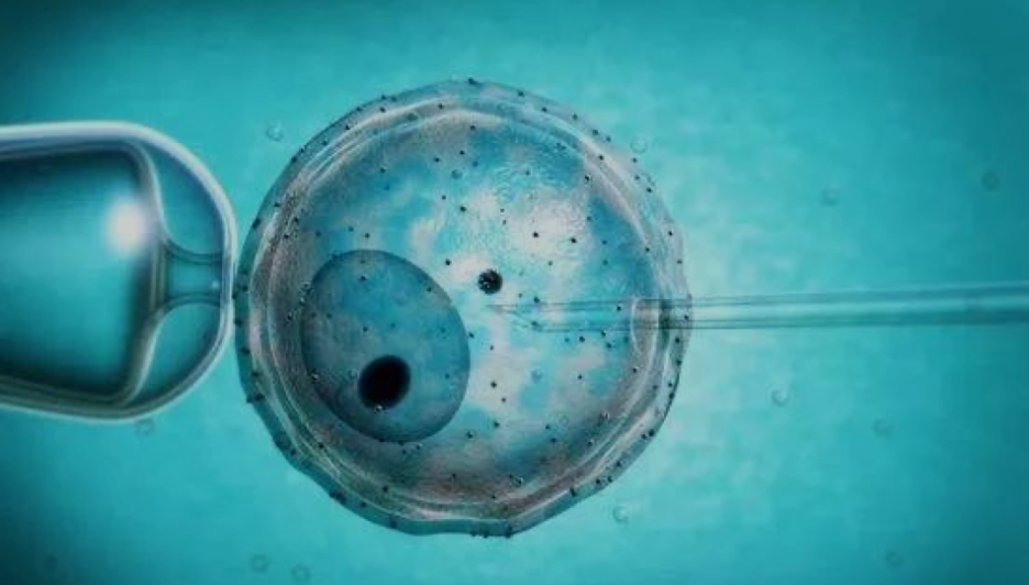 1641074460975453.png 1.png